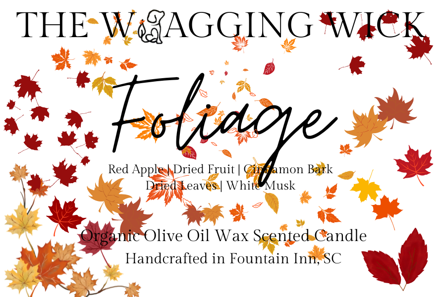 Foliage - 10 oz Organic Olive Oil Wax Scented Candle