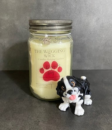 Hot Diggity Dog - 13 oz Organic Olive Oil Wax Candle