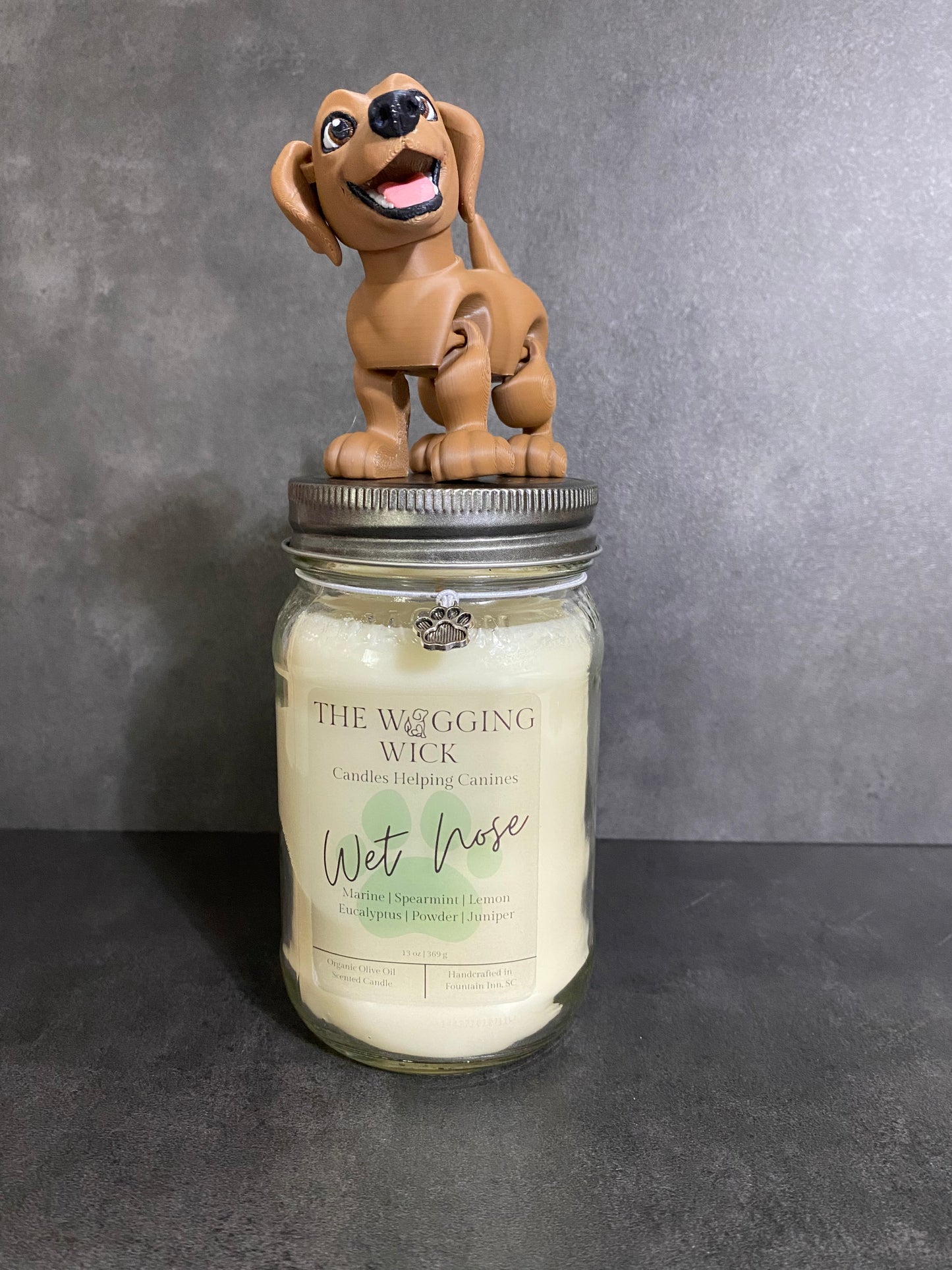 Wet Nose - 13 oz Organic Olive Oil Wax Candle
