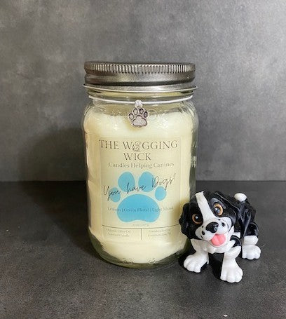 You Have Dogs? - 13 oz Organic Olive Oil Wax Candle