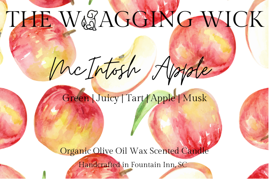 McIntosh Apple - 5.8 oz Organic Olive Oil Was Scented Candle